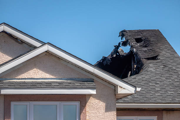 Top rated local Fire Damage Repair specialists in Juliustown, NJ